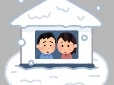 アルミカーポートの雪