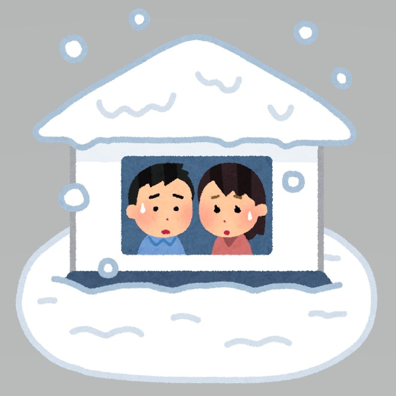 アルミカーポートの雪