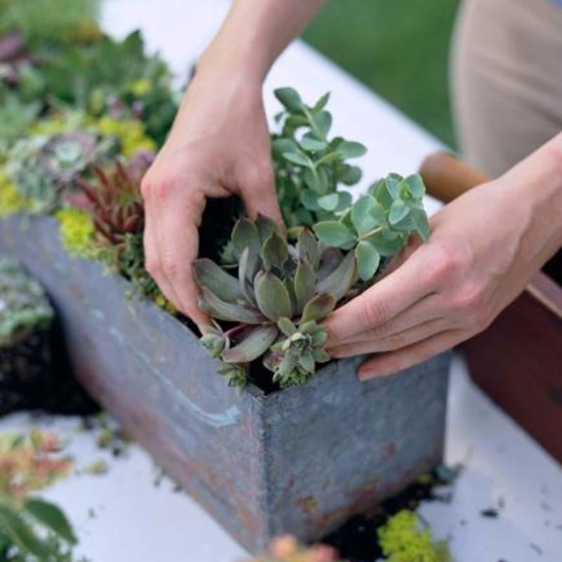 ワークショップ予告