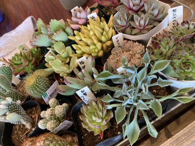 大盛況ワークショップ御礼！