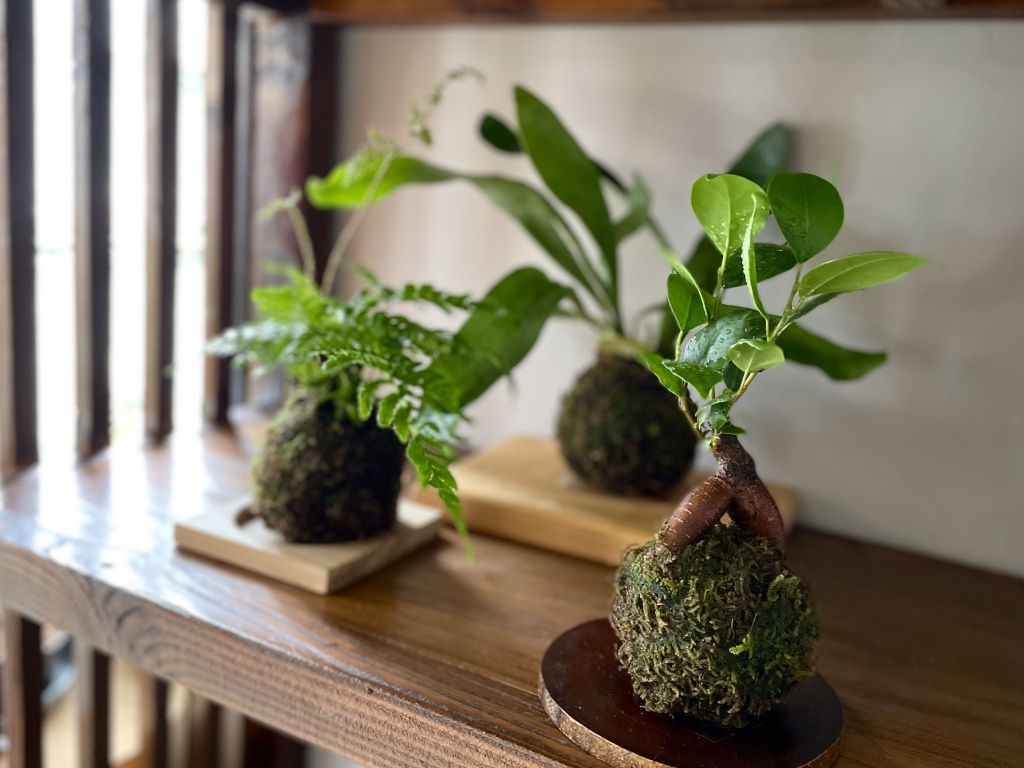 春のワークショップ予告